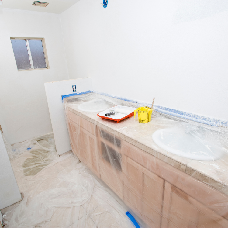 Bathroom Painting